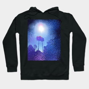 flower night sparkles Hoodie